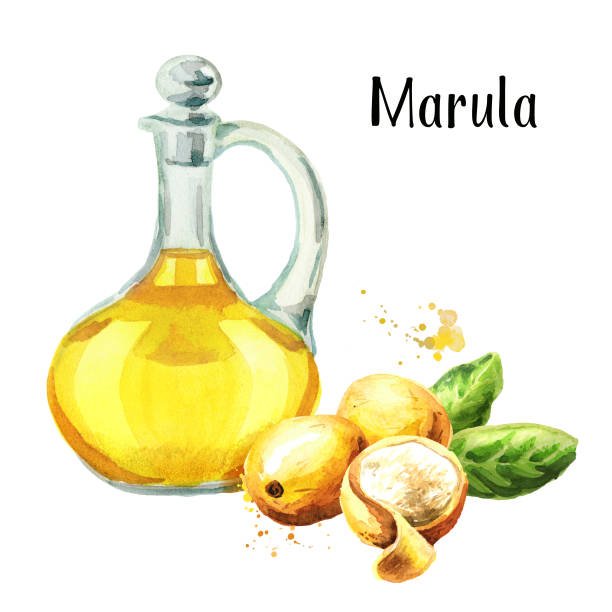 Glass jug of Marula Oil, and fruits. Watercolor hand drawn illustration, isolated on white background